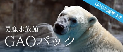 男鹿水族館GAOパック